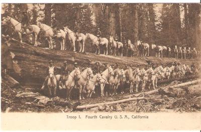 Picture Postcard Photo 4th Cavalry California 1900