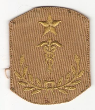 WWI Medical Master Hospital Sergeant Rank Chevron