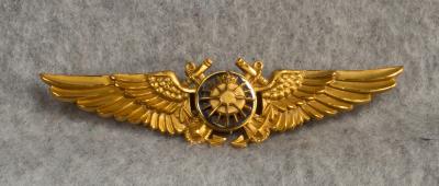 USN Navy Navigator Badge Pin Back Meyer