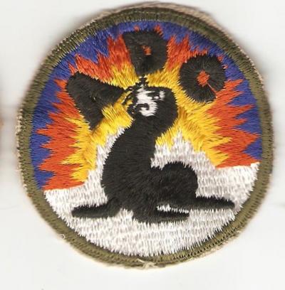 WWII Alaskan Defense Command Patch