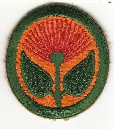 WWII Hawaiian Coastal Defense Patch