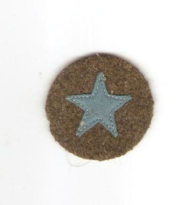Army ROTC Honor Award Star Patch