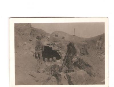 WWII era Photograph Graves Dead Human Remains 