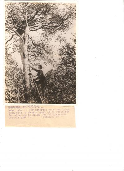 WWII German Press Photo Danish Volunteer