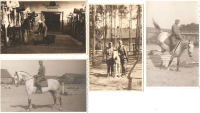 WWII German 4 Picture Postcards Mounted Horses