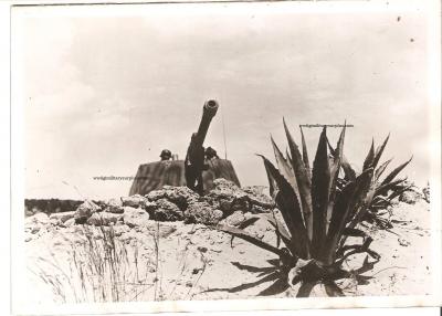 WWII German Press Photo Panzer