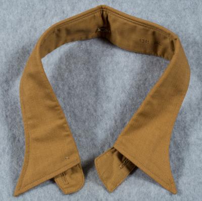 German Political Brown Shirt Collar