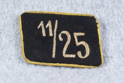 SA Collar Tab 11th Sturm 25th Standarte