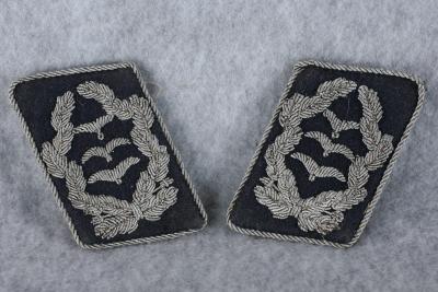 Luftwaffe Medical Colonel Collar Tab Set