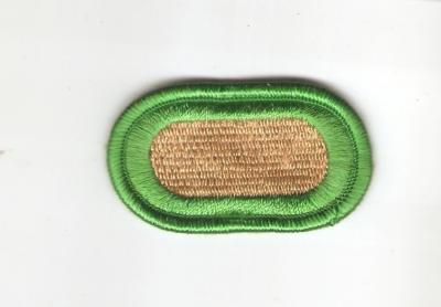 Oval 10th Special Forces Group Patch 