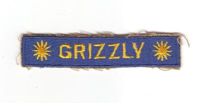 US Army Patch 40th Armored Grizzly Tab