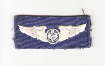 USAF Air Force Aircrew Wing Patch