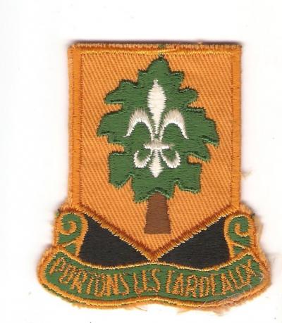 Pocket Patch 101st Support Battalion 