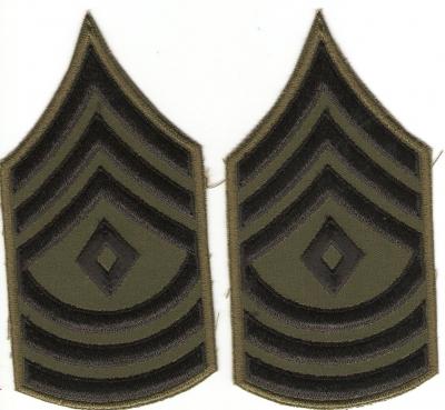 Vietnam Era Subdued 1st Sergeant Rank