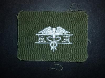 Vietnam Era Expert Medic Badge