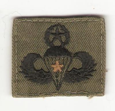 Master Combat Jump Airborne Wing Patch