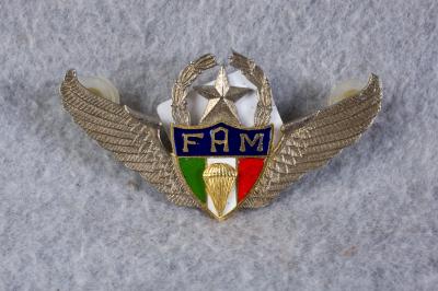 Mexican Paratrooper Jump Wing Master