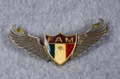 Mexican Paratrooper Jump Wing