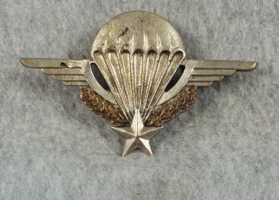 French Paratrooper Jump Wing Theater Made