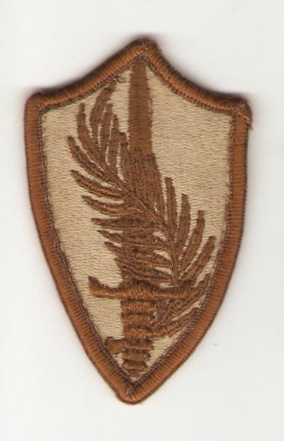 Patch Central Command CENTCOM Desert Subdued