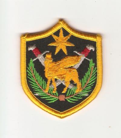 Patch Multi National Force Iraq