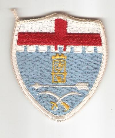 US Army 11th Infantry Regiment Patch