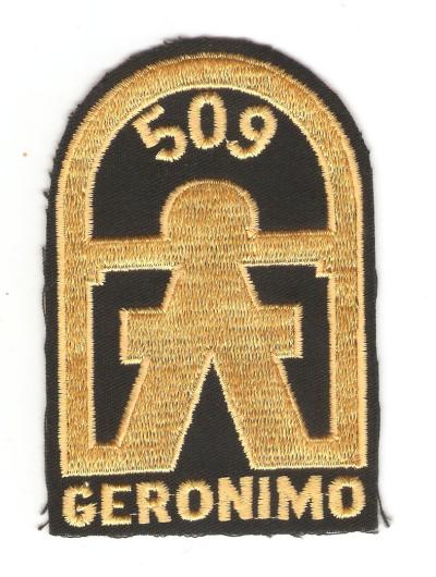 Patch 509th Airborne Parachute Infantry Regiment