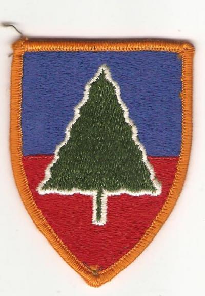 US Army 91st Infantry Brigade Patch