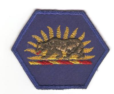 Army California National Guard Patch Variant