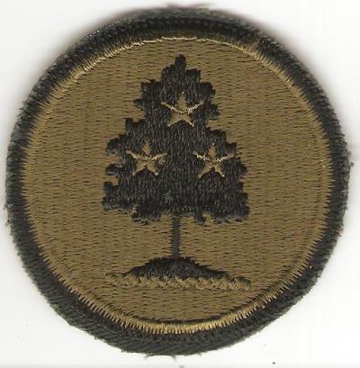 US Army National Guard Tennessee Patch