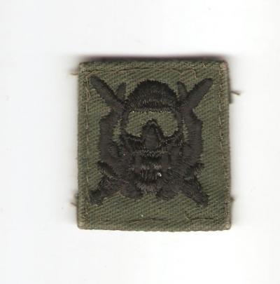 US Army Special Operations Diver Badge Patch