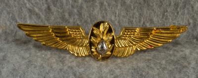 USN Navy Naval Flight Surgeon's Badge Wing