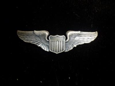 USAF Pilot Aviator Wing 2