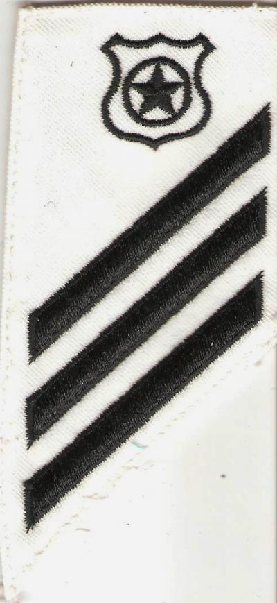 USN Seaman Master at Arms Rate