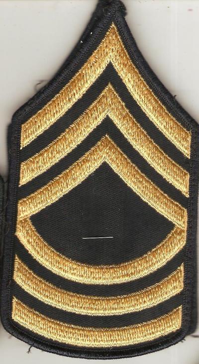 Army ASU Master Sergeant Rank Pair