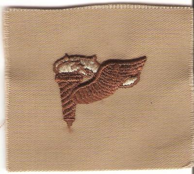 Desert Tan Pathfinder Badge Patch DCU