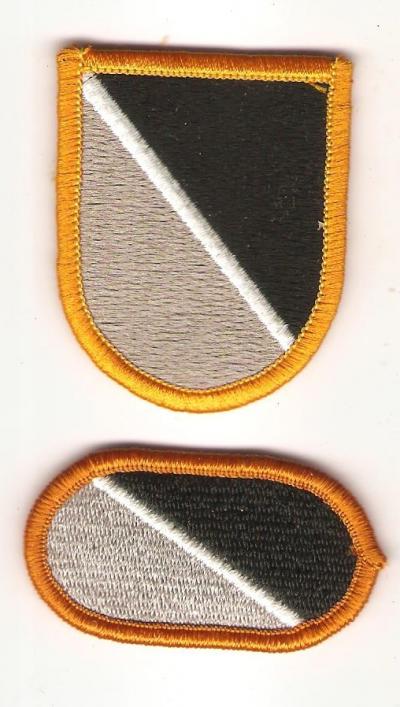 Army 1st Special WarfareTng Group Flash