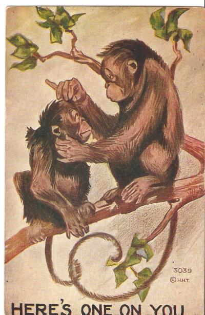 Postcard Monkies in Tree 1910 Era