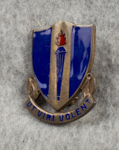 Ut Viri Volent WWII USAAF Training DUI Crest Pin