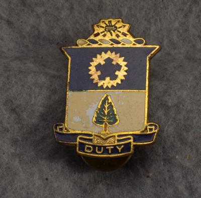 DUI DI Crest 21st Infantry Regiment Theater Made