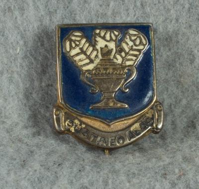 DI Crest USAAF Technical Training Command Variant