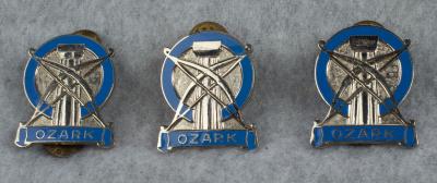 DUI DI Crest 102nd ARCOM Ozark