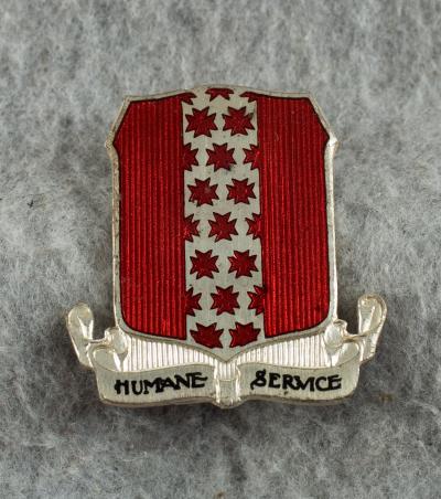 DUI Crest Pin 347th Medical Regiment