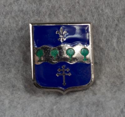 DUI DI Crest 315th Infantry Regiment Pin Back