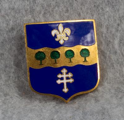 DUI DI Crest 315th Infantry Regiment Gemsco