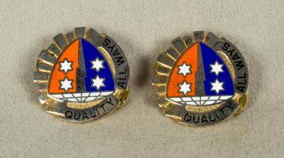 Unit Crest 369th Signal Battalion Pair