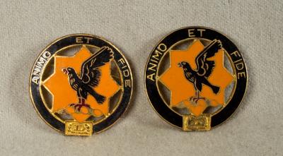 DUI DI Crest 1st Cavalry Regiment Insignia Pair