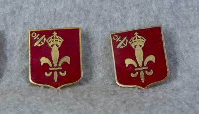 DUI DI Crest 101st Field Artillery HQ Pair