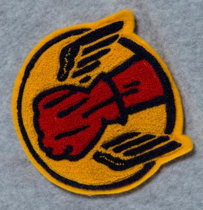 WWII Chenille Patch 48th Bomb Squadron 
