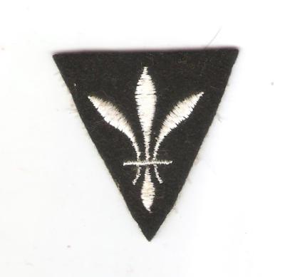 WWI District of Paris Felt Patch King